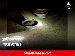 জাঙ্গিপাড়ায় বিজেপি প্রার্থীকে লক্ষ্য করে পরপর বোমা ছোড়ার অভিযোগ !