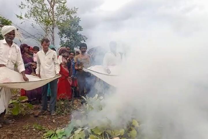 आदिवासी बांधव शास्त्रीय प्रयोग करत आहेत. याला 