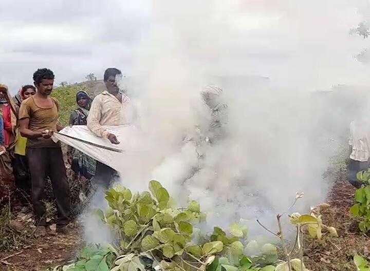 बुलढाणा जिल्ह्यातील संग्रामपूर तालुक्यातील सातपुड्याच्या पायथ्याशी असलेले आदिवासी बांधव पाऊस पडावा म्हणून हा प्रयोग करत आहेत.
