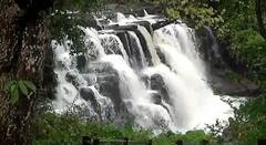 Savdav Waterfall : हिरव्यागार वनराईतून फेसाळत कोसळणारा सावडाव धबधबा प्रवाहित, पर्यटकांची गर्दी