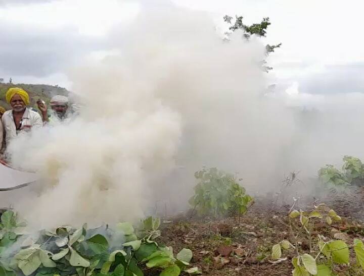 अनेक ठिकाणी शेतकऱ्यांच्या पेरण्या खोळंबल्या आहेत. त्यामुळं पाऊस पडावा यासाठी बुलढाणा (Buldhana) जिल्ह्यातील शेतकऱ्यांनी अनोखा प्रयोग केला आहे.