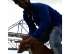 कुत्ते को शिप्रा नदी में फेंकने वाले युवक का पश्चाताप भी नहीं आया काम, FIR दर्ज कर तलाश रही है पुलिस