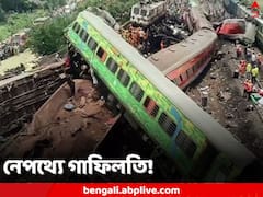 সরকারি হিসেবে মৃত ২৯৩, যান্ত্রিক গোলযোগ নয়, করমণ্ডল দুর্ঘটনার নেপথ্যে মানুষের হাত, জানাল রেল কমিশন