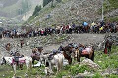 Amarnath Yatra 2023 : 'बम बम भोले'चा गजर... अमरनाथ यात्रेच्या पहिल्याच दिवशी सुमारे 8000 भाविकांनी घेतलं दर्शन