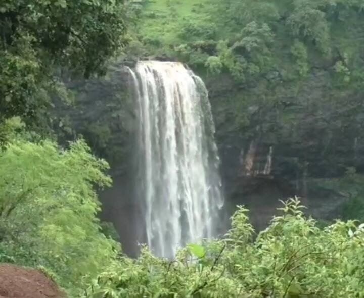 Valsad PHOTO: વલસાડ જિલ્લા પર કુદરતની મહેરબાની ખૂબ જ રહી છે અને એટલે જ આજે કુદરતે વલસાડને સન્ડેની ગિફ્ટ આપી છે. વરસાદ બાદ આ વિસ્તારમાં કુદરત સોળે કળાએ ખીલેલું જોવા મળે છે.