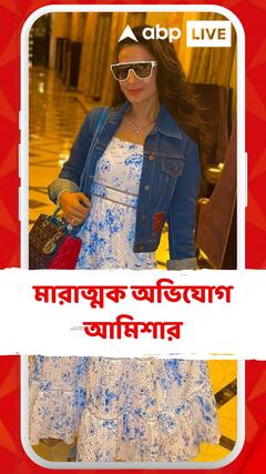 হোটেল ভাড়া, খাবার খরচ কিছুই মেটানো হয়নি! ‘গদর ২’-র প্রযোজকের বিরুদ্ধে মারাত্মক অভিযোগ আমিশার