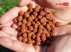 Sawan 2023: ਸਾਵਣ ਵਿੱਚ ਘਰ ਲੈ ਆਓ ਇਹ ਚੀਜ਼ਾਂ, ਮਹਾਦੇਵ ਦੀ ਕਿਰਪਾ ਨਾਲ ਵਧੇਗੀ ਖ਼ੁਸ਼ਹਾਲੀ