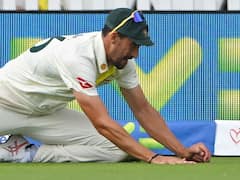 Watch: मिचेल स्टार्क के कैच पर छिड़ा विवाद, वीडियो में देखें क्या है पूरा मामला