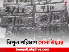 সোনা পাচারের পর্দাফাঁস, স্পেশাল মোজা বানিয়েও রক্ষা পেলেন না পাচারকারী