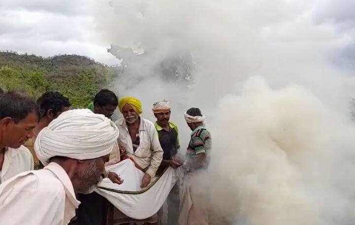 संग्रामपूर तालुक्यातील शेतकरी मिठाची धुरी देऊन ढगांना कळ देऊन कृत्रिम पावसाचा प्रयोग करत आहेत. जाळात मीठ टाकल्याने त्याचा धूर काही अशी का होईना ढगांपर्यांत पोहोचून पाऊस पडेल अशी आशा या भोळ्या भाबड्या शेतकऱ्यांची आहे.