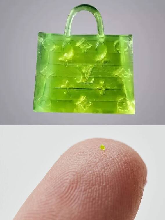 नमक के दाने से छोटा बैग, दाम 51 लाख