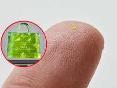 రవ్వంత ఉప్పు కూడా పట్టని ఆ బ్యాగ్‌కు రూ.అర కోటి, ఏం చేసుకుంటారు దాంతో?