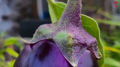 Food Allergies: জিভে জল আনা এই খাবারে আপনার অ্যালার্জি হয় কি ? সতর্ক হন, রইল সাতকাহন