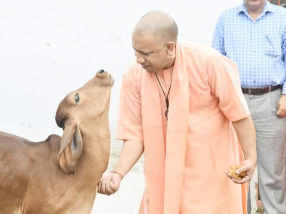 UP Politics: सीएम योगी का गोरखपुर दौरा, गुरु पूर्णिमा पर गोशाला में गुड़ खिलाते आए नजर, लोगों की सुनी समस्याएं
