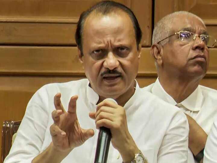 महाराष्ट्र में सियासी हलचल पैदा करने वाले अजित पवार और उनकी पत्नी दोनों करोड़ों के मालिक है. लोकसभा चुनाव 2019 के हलफनामे में अजित पवार ने अपनी कुल संपत्ति का ब्यौरा दिया था.