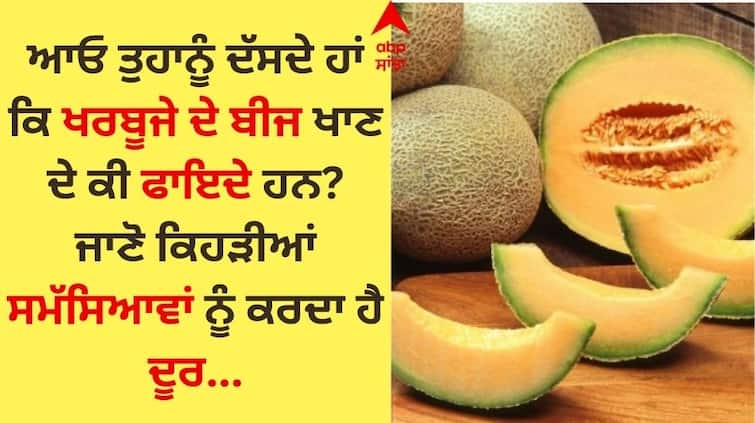 Do you also eat watermelon and throw away the seeds Knowing its benefits will never make this mistake Muskmelon Seeds Benefits: ਤੁਸੀਂ ਵੀ ਖਰਬੂਜਾ ਖਾ ਕੇ ਸੁੱਟ ਦਿੰਦੇ ਹੋ ਬੀਜ਼? ਇਸ ਦੇ ਫਾਇਦੇ ਜਾਣ ਕੇ ਕਦੇ ਨਹੀਂ ਕਰੋਗੇ ਇਹ ਗਲਤੀ