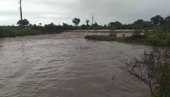 Amreli Rain: અમરેલીના વડીયા અને કુંકાવાવમાં ધોધમાર વરસાદ, સ્થાનિક નદીઓમાં ઘોડાપુર