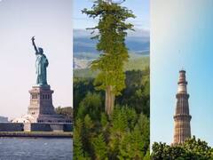 ਇਹ ਹੈ ਦੁਨੀਆ ਦਾ ਸਭ ਤੋਂ ਉੱਚਾ ਦਰੱਖਤ, ਕੁਤੁਬ ਮੀਨਾਰ ਅਤੇ ਸਟੈਚੂ ਆਫ ਲਿਬਰਟੀ ਵੀ ਇਸ ਦੇ ਸਾਹਮਣੇ ਲਗਦੇ ਨੇ ਛੋਟੇ