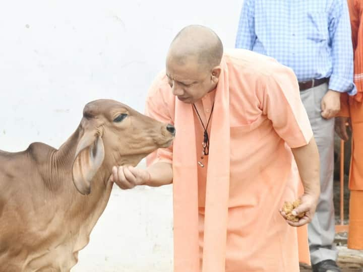 उत्तर प्रदेश के मुख्यमंत्री योगी आदित्यनाथ (Yogi Adityanath) अपने दो दिवसीय गोरखपुर (Gorakhpur) दौरे पर हैं. इस दौरान गुरु पूर्णिमा पर सीएम योगी गोरखनाथ मंदिर (Gorakhnath Temple) में पहुंचे.