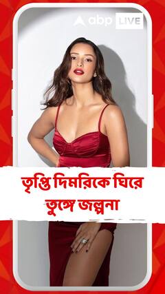 প্রেম জমার আগেই ছেদ পড়ল রসায়নে! অনুষ্কা শর্মার ভাই আর কাছের জন নয়! তৃপ্তি দিমরিকে ঘিরে তুঙ্গে জল্পনা