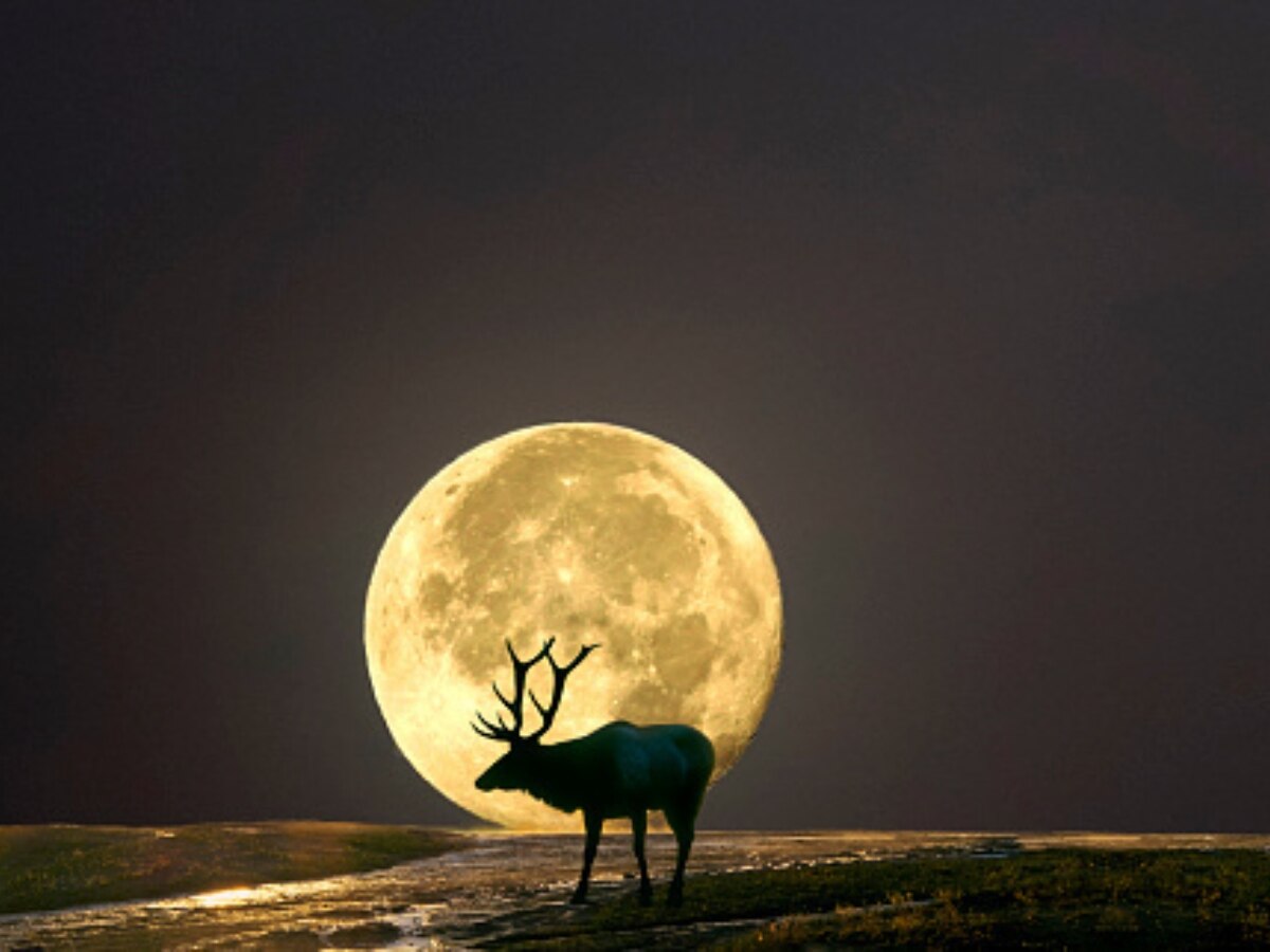 July Supermoon 2023 July 3 When And How To Watch The Buck Moon Thunder