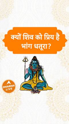 क्यों शिव जी को अर्पित करते हैं भांग और धतूरा  Dharma Live