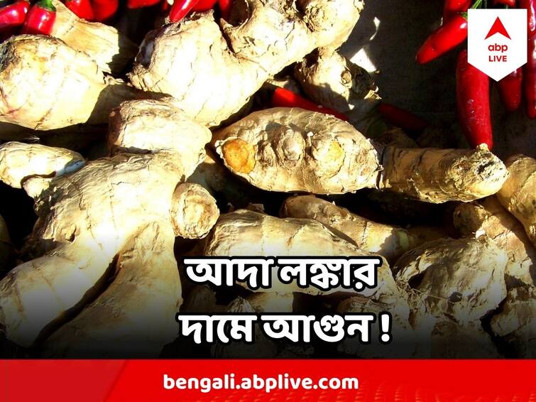 Vegetable Price In Kolkata Shoots Up, Ginger, Chili touches 300 rupee per Kg Vegetable Price Hike : আদা-কাঁচালঙ্কা ৩০০ টাকা কেজি, টমেটো কেজি প্রতি ২০০ ! ছ্যাঁকা লাগাবে কলকাতার আজকের বাজারদর