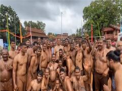 Chikhal Kalo: Goans Celebrate Mud Festival With Zeal And Enthusiasm. Watch
