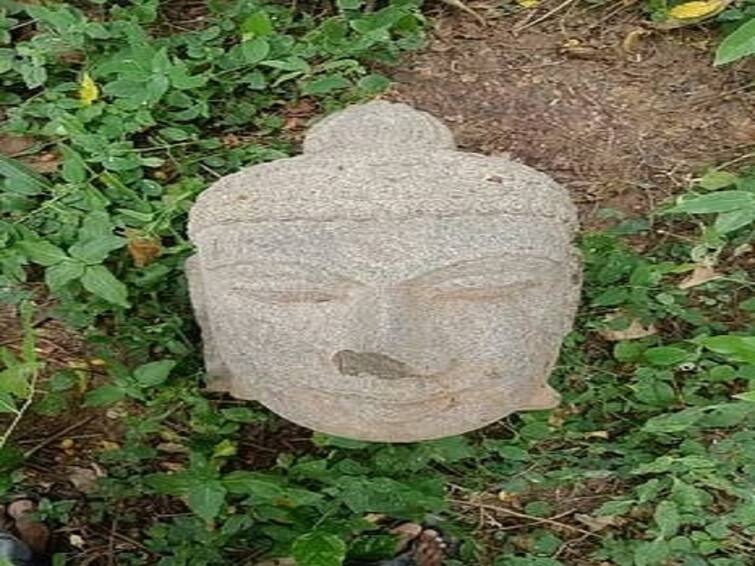 Thanjavur district The head of a Buddha statue found at Keelipappayarai TNN Buddha statue: தஞ்சை மாவட்டம் கீழப்பழையாறையில் கண்டுபிடிக்கப்பட்ட புத்தர் சிலை தலை