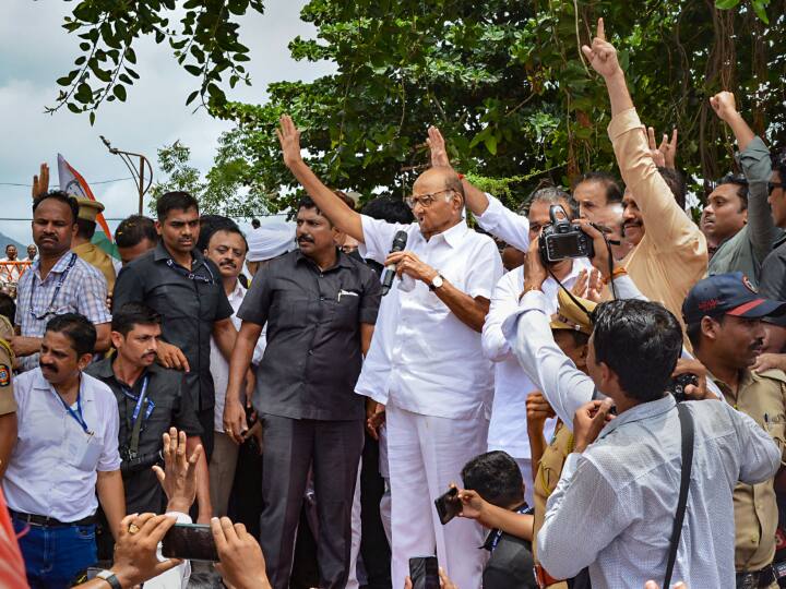 एनसीपी के प्रमुख शरद पवार ने संवाददाता सम्मेलन को संबोधित करते हुए कहा कि उन्होंने कुछ नेताओं की हरकतों की परवाह किए बिना एनसीपी को मजबूत करने और पार्टी कार्यकर्ताओं के विश्वास को बढ़ाने के लिए राज्यव्यापी यात्रा शुरू की है.