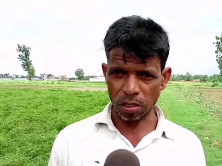 मुरादाबाद में अधिक बारिश के कारण मिर्च की फसल खराब हुई है. इसकी तस्वीरें भी सामने आई हैं.