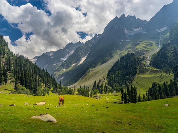 Duggardhani Village Haat In Jammu And Kashmir Reasi Emerges As A ...