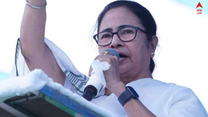 তবে এদিন, 'পঞ্চায়েতে কেই কোনও ভুল কাজ করলে সরাসরি মুখ্যমন্ত্রীকে জানান, আমরা জানতে পারলেই ব্যবস্থা নেব।', জানিয়েছেন মমতা।