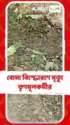 উত্তর ২৪ পরগনার হাড়োয়ার শালিপুরে বোমা বিস্ফোরণে মৃত্যু তৃণমূলকর্মীর