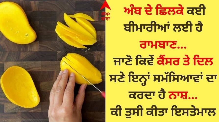 ਅੰਬ ਦੇ ਛਿਲਕੇ ਕਈ ਬਿਮਾਰੀਆਂ ਲਈ ਰਾਮਬਾਣ, ਜਾਣੋ ਕਿਵੇਂ ਕੈਂਸਰ ਤੇ ਦਿਲ ਸਣੇ ਇਨ੍ਹਾਂ ਸਮੱਸਿਆਵਾਂ ਦਾ ਕਰਦੇ ਨਾਸ਼ Mango peel is a panacea for many diseases know how it destroys these problems including cancer and heart ਅੰਬ ਦੇ ਛਿਲਕੇ ਕਈ ਬਿਮਾਰੀਆਂ ਲਈ ਰਾਮਬਾਣ, ਜਾਣੋ ਕਿਵੇਂ ਕੈਂਸਰ ਤੇ ਦਿਲ ਸਣੇ ਇਨ੍ਹਾਂ ਸਮੱਸਿਆਵਾਂ ਦਾ ਕਰਦੇ ਨਾਸ਼