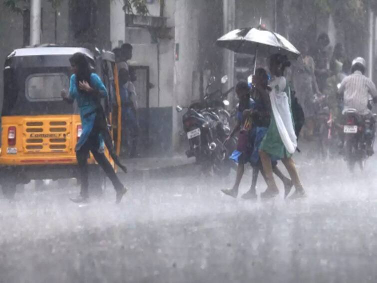 TN Rain alert moderate rain 10 districts metrological department kallakurichi chennai chengalpattu districts TN Rain Alert: வானில் மழை.. கையில் குடையுடன் ரெடியா..? அடுத்த 3 மணி நேரத்தில் கொட்டப்போகும் மழை...எங்கெங்கு தெரியுமா?