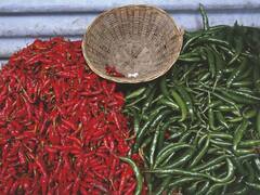 UP News: यूपी में टमाटर के बाद बारिश की वजह से मिर्च की फसल खराब, अब पड़ेगी महंगाई की मार