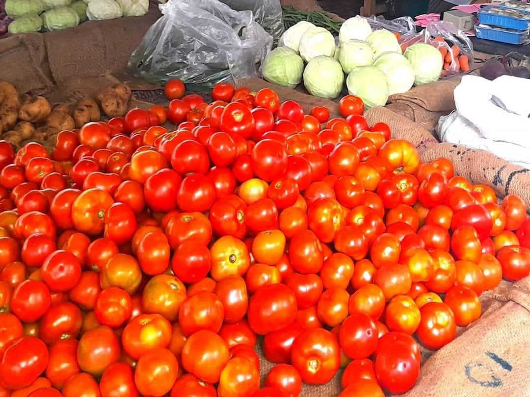 Tomatoes price Rs.140 in Thanjavur is Housewives are shocked TNN Tomato Price: வரத்து குறைந்தது... விலை தாறுமாறாக உயர்ந்தது: தஞ்சையில் ரூ.140க்கு தக்காளி விற்பனை