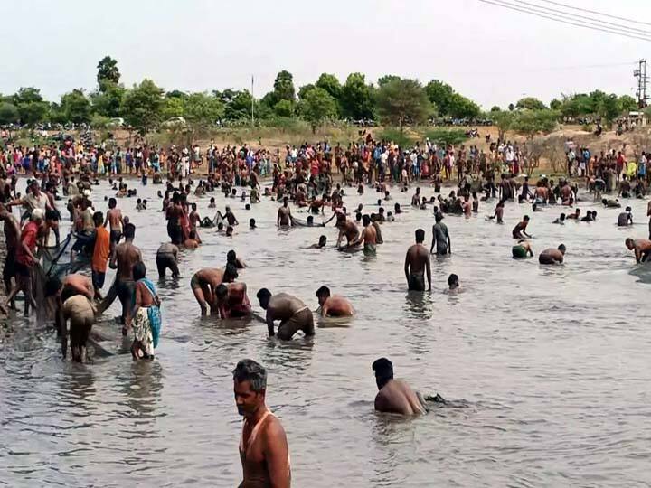 Dindigul Fishing festival held after 8 years in Usilambatti village near Vedasandur TNN Dindigul: வேடசந்தூர் அருகே  8 ஆண்டுக்கு பின் மீன்பிடி திருவிழா; விளையாடி மகிழ்ந்த  கிராம மக்கள்