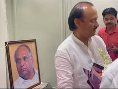 महाराष्ट्र की सियासत की दिलचस्प तस्वीर, अजित पवार ने दफ्तर में लगाया फोटो तो शरद पवार बोले- 'जिन्होंने धोखा दिया वे...'