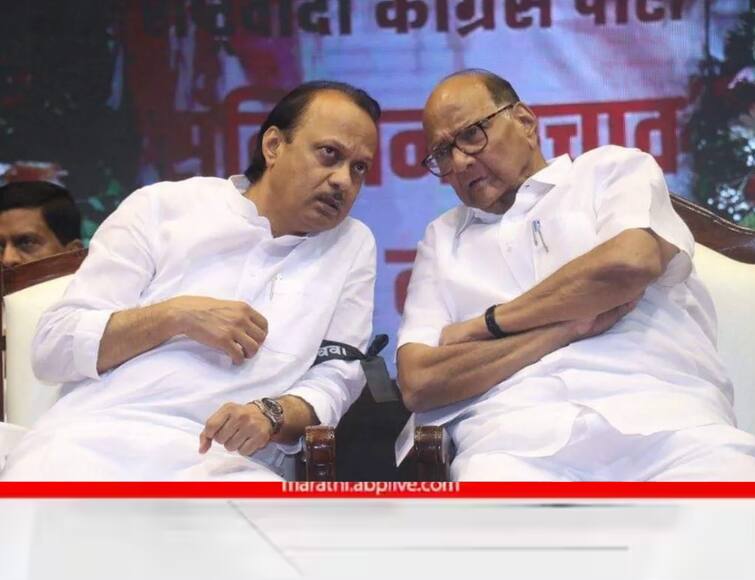 Maharashtra Politics Pune NCP Activist confuse on which group will join Sharad Pawar Or Ajit Pawar camp Maharashtra Sharad Pawar Or Ajit Pawar : पवार साहेब की अजित दादा! दोन्ही गटाकडून फोनाफोनी सुरू; कार्यकर्ते संभ्रमात