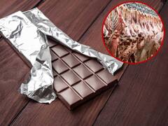 चॉकलेट में मिलाया जाता है गाय का मांस? क्या आपको पता है ये सच है या झूठ
