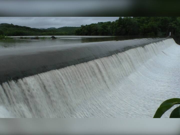 कोकणात मागील काही दिवसांपासून चांगला पाऊस सुरु आहे.