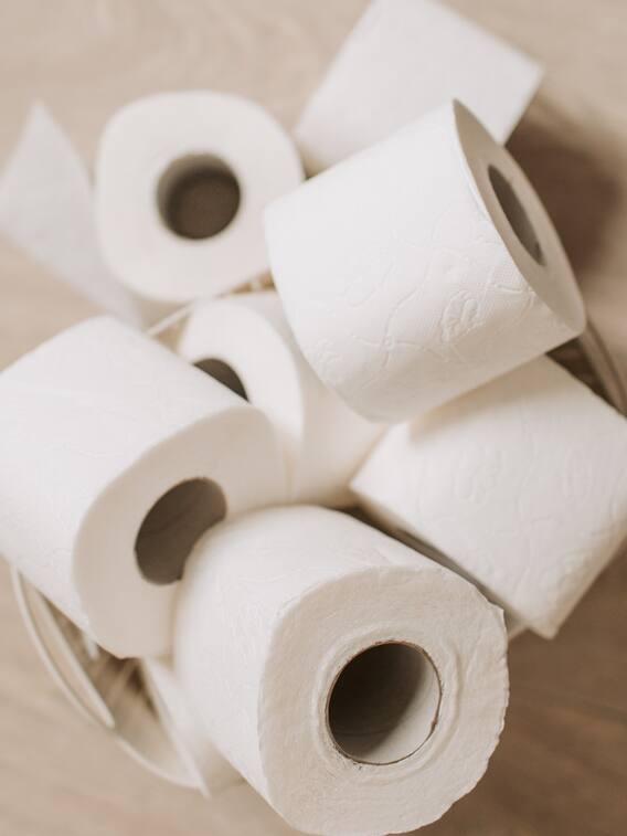 टॉयलेट पेपर के लिए हर रोज कटते हैं इतने पेड़