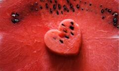 Lifestyle:তরমুজ বীজের এত গুণ!