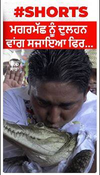 Viral Video । ਮਗਰਮੱਛ ਨੂੰ ਦੁਲਹਨ ਵਾਂਗ ਸਜਾਇਆ ਫਿਰ...