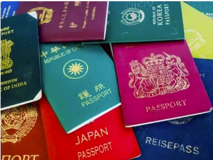 ਭਾਰਤ ਵਿੱਚ ਪਾਸਪੋਰਟ ਸਿਰਫ਼ ਨੀਲਾ ਹੀ ਨਹੀਂ ਸਗੋਂ ਕੁਝ ਹੋਰ ਰੰਗਾਂ ਵਿੱਚ ਵੀ ਹੁੰਦਾ ਹੈ। ਹਰੇਕ ਪਾਸਪੋਰਟ ਦੀ ਆਪਣੀ ਵਿਲੱਖਣ ਪਛਾਣ ਹੁੰਦੀ ਹੈ, ਜੋ ਕਿਸੇ ਵਿਸ਼ੇਸ਼ ਪਛਾਣ ਨੂੰ ਉਜਾਗਰ ਕਰਦੀ ਹੈ। ਭਾਰਤੀ ਪਾਸਪੋਰਟ ਤਿੰਨ ਰੰਗਾਂ ਦੇ ਹੁੰਦੇ ਹਨ। ਭਾਰਤੀ ਪਾਸਪੋਰਟ ਮੈਰੂਨ, ਚਿੱਟੇ ਅਤੇ ਨੀਲੇ ਰੰਗ ਦਾ ਹੈ।