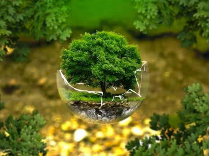 ਇਸ ਸਕੀਮ ਦੀ ਸਭ ਤੋਂ ਚੰਗੀ ਗੱਲ ਇਹ ਹੈ ਕਿ ਜੇਕਰ ਕਿਸਾਨ ਤਿੰਨ ਸਾਲ ਤੱਕ ਪੌਦੇ ਜ਼ਿੰਦਾ ਰੱਖਣਗੇ ਤਾਂ ਉਨ੍ਹਾਂ ਨੂੰ ਜੰਗਲਾਤ ਵਿਭਾਗ ਵੱਲੋਂ ਹਰੇਕ ਪੌਦੇ ਲਈ 70 ਰੁਪਏ ਦੀ ਸਬਸਿਡੀ ਦਿੱਤੀ ਜਾਵੇਗੀ। ਯਾਨੀ ਜੇਕਰ ਤੁਸੀਂ 3 ਸਾਲ ਤੱਕ 1 ਹਜ਼ਾਰ ਪੌਦੇ ਜ਼ਿੰਦਾ ਰੱਖਦੇ ਹੋ ਤਾਂ ਤੁਹਾਨੂੰ ਜੰਗਲਾਤ ਵਿਭਾਗ ਤੋਂ 70 ਹਜ਼ਾਰ ਰੁਪਏ ਮਿਲਣਗੇ।