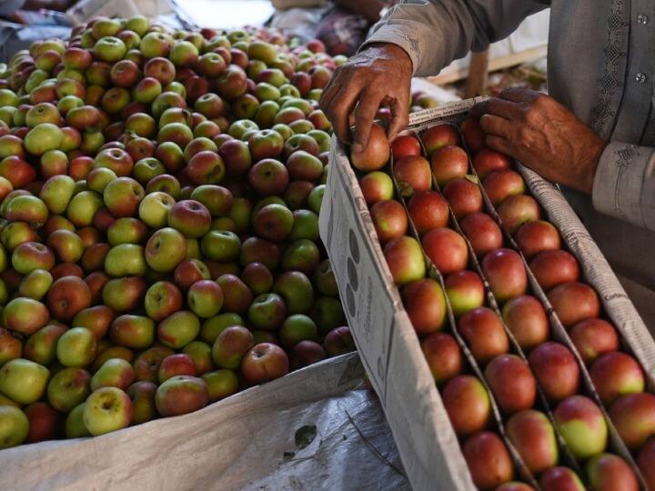 Apple Price Hike: After tomato, now apple will also eat the price! Due to this the price is expected to increase Apple Price Hike: ટામેટા બાદ હવે સફરજનના ભાવમાં પણ થશે ભડકો! આ કારણે કિંમત વધવાની છે ધારણા