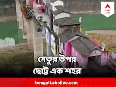 রঙিন ঘরবাড়ি, দোকানপত্তর, চিনে সেতুর উপরই যেন ছোট্ট এক শহর